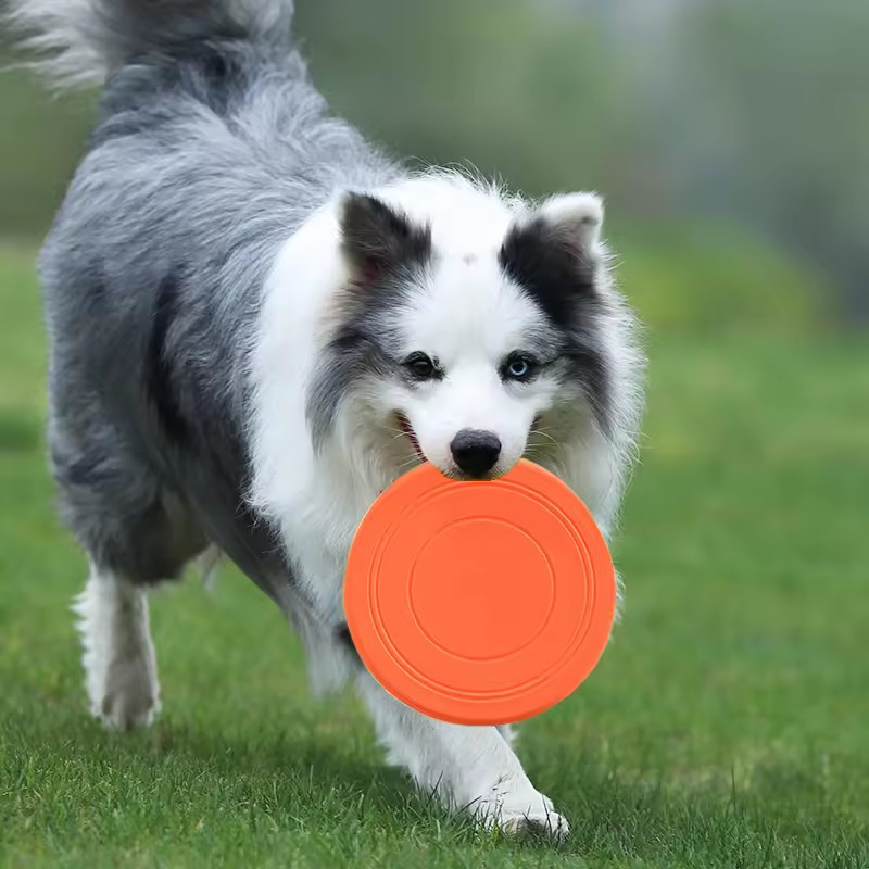 Frisbee Freestyle Disc - Durable Chewable Pet Training Frisbee Toy
