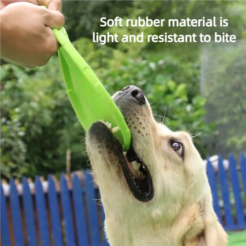 Multicolor Silicone Dog Frisbe - مراجعة Frisbee Freestyle Disc وسعره