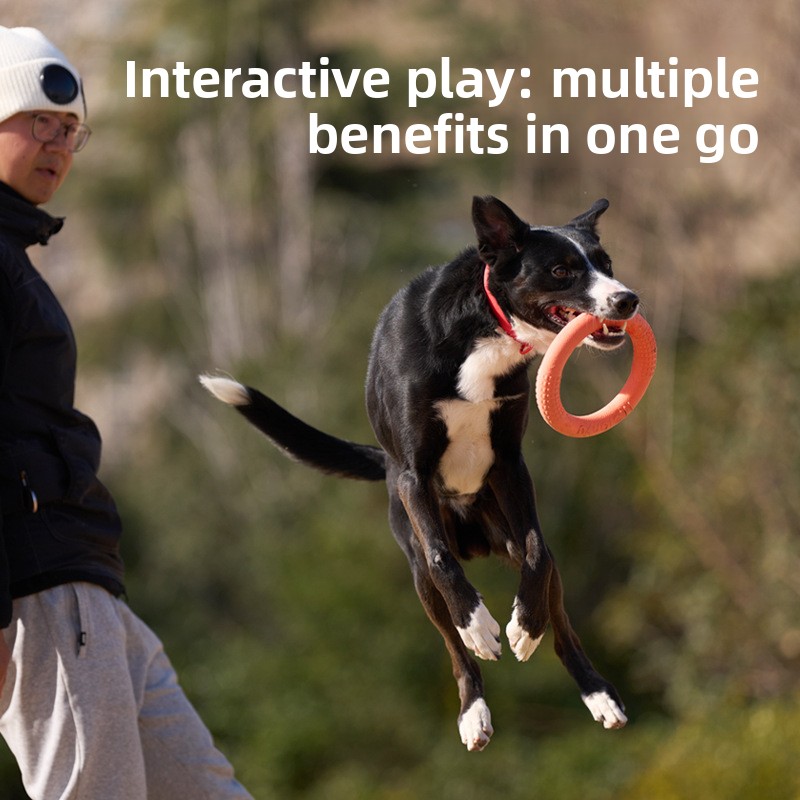 Bite-resistant soft pull-ring  - مراجعة Frisbee Freestyle Disc وسعره