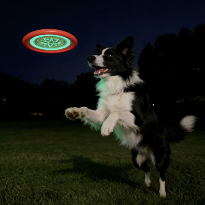 Glow in the Dark Dog Frisbee,  - مراجعة Frisbee Freestyle Disc وسعره
