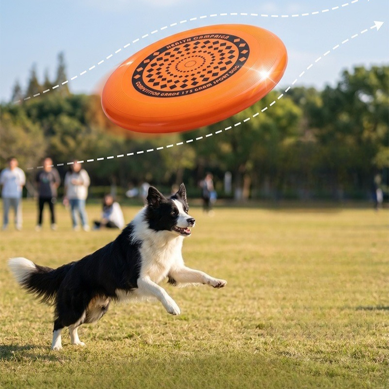 Dog Frisbee 27CM Durable Chew  - مراجعة Frisbee Freestyle Disc وسعره