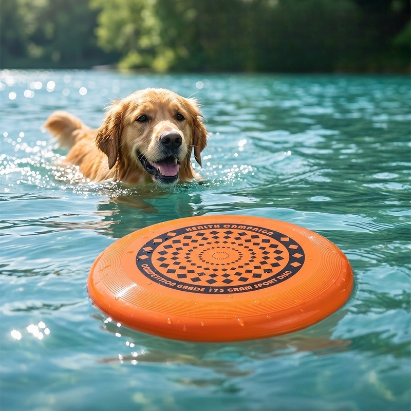 Dog Frisbee 27CM Durable Chew  - مراجعة Frisbee Freestyle Disc وسعره