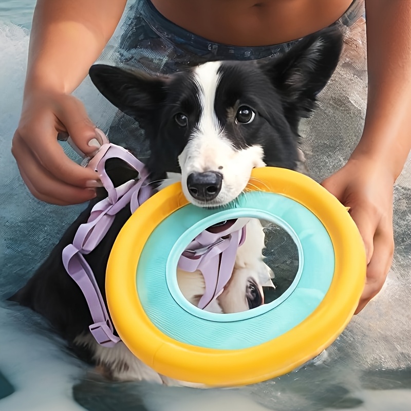 Floating Dog Frisbee, Outdoor  - مراجعة Frisbee Freestyle Disc وسعره