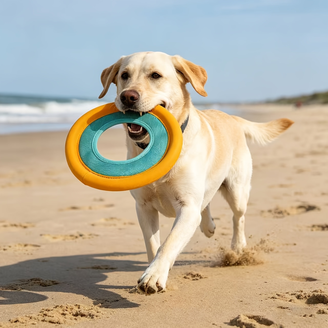 Floating Dog Frisbee, Outdoor  - مراجعة Frisbee Freestyle Disc وسعره