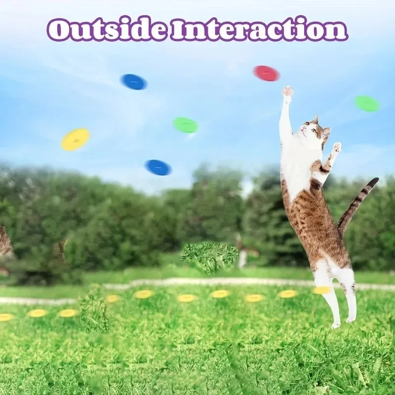 Funny Cat Toys Creative Turnip - مراجعة Frisbee Freestyle Disc وسعره