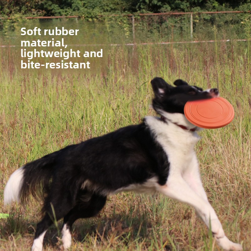 Soft Flying, Dog Toys Interact - مراجعة Frisbee Freestyle Disc وسعره