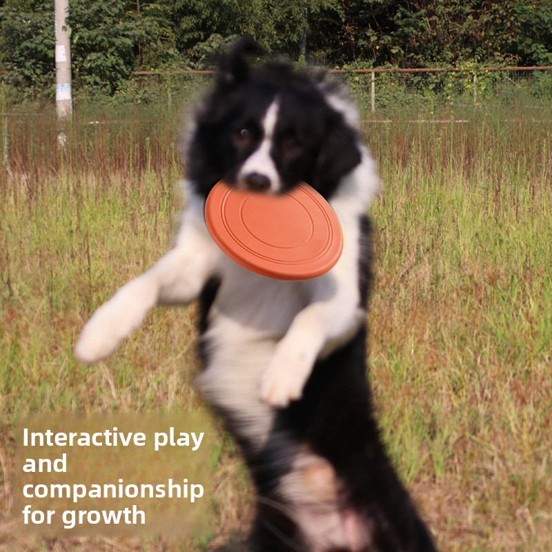 Soft Flying, Dog Toys Interact - مراجعة Frisbee Freestyle Disc وسعره