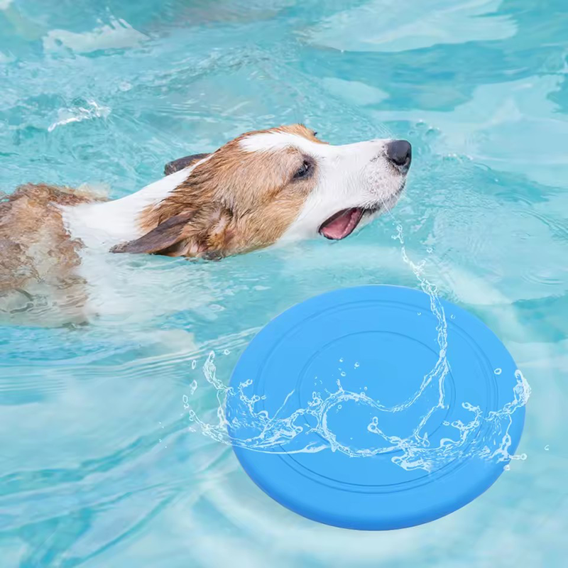 Durable Chewable Pet Training  - مراجعة Frisbee Freestyle Disc وسعره