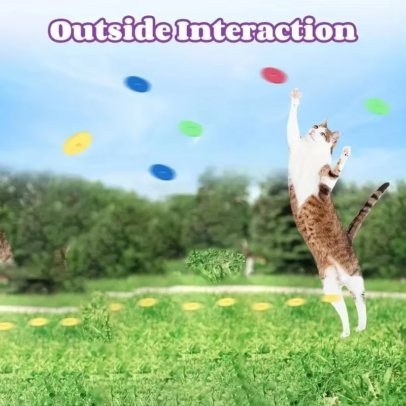 Funny Cat Toys Creative Turnip - مراجعة Frisbee Freestyle Disc وسعره