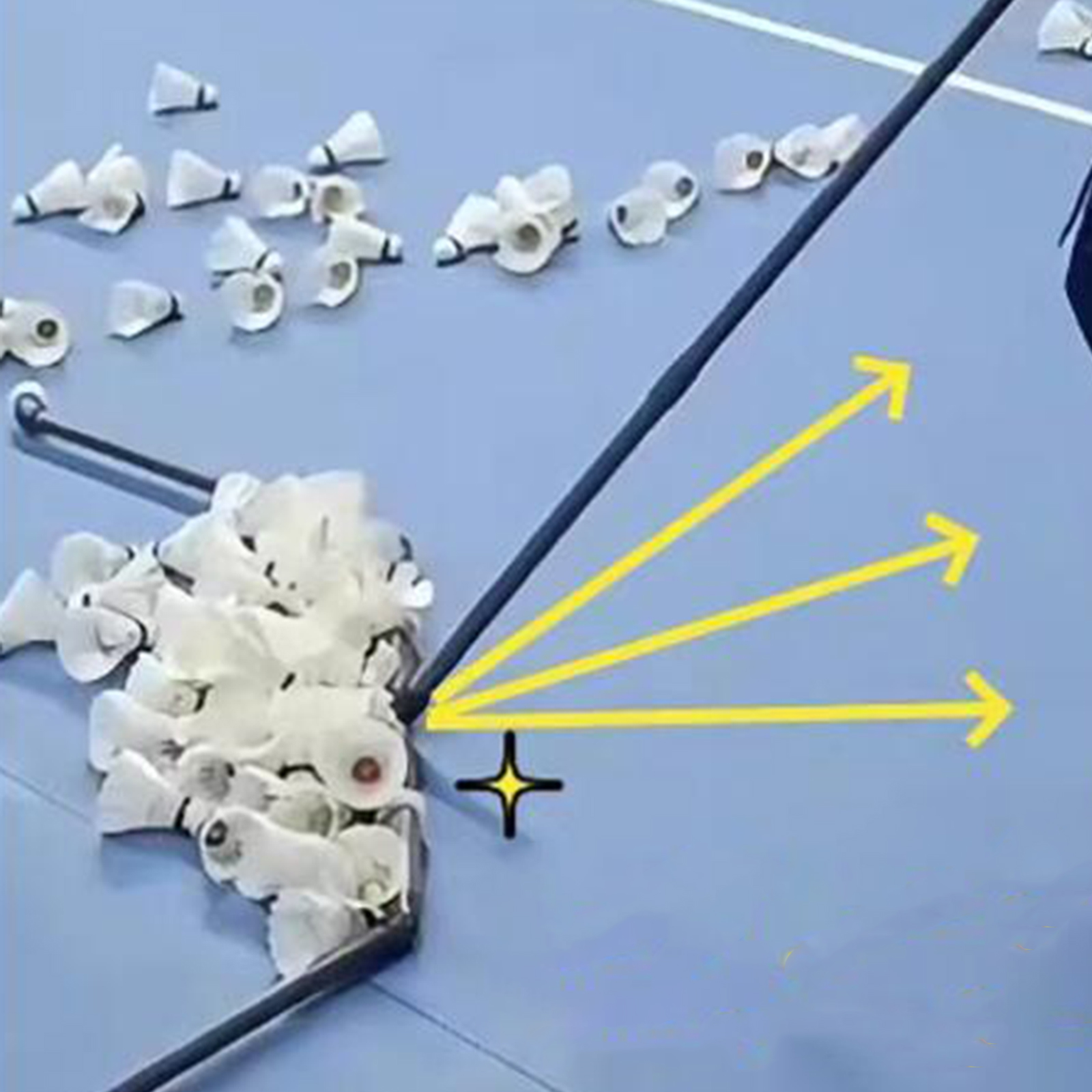 Badminton Shuttlecock Collecto - مراجعة Badminton Set Garden وسعره